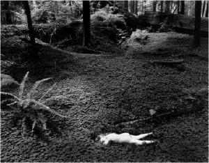 Child in Forest