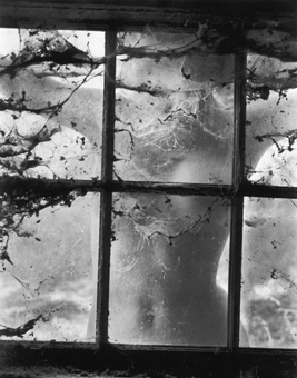 Nude Behind Cobwebbed Window