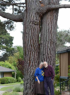 Barbara and Gene a couple of weeks after
  				Gene's diagnosis