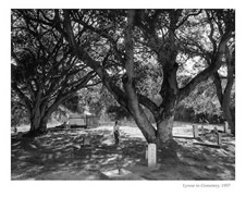 Lynn in Cemetery, 1957