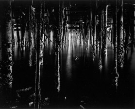 Under Monterey Wharf, 1969