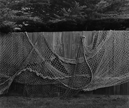 Fish Net over Fence, 1994