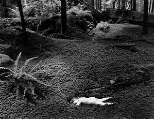 Child in Forest, 1951