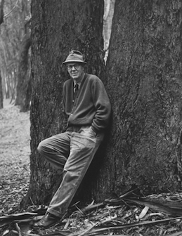 Wynn Bullock by Imogen Cunningham, 1966