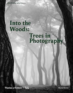 Cover of Into the Woods 
