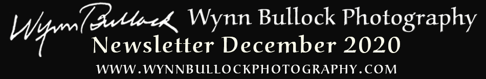 The header for this newsletter: Wynn Bullock Photography Newsletter, December 2020.