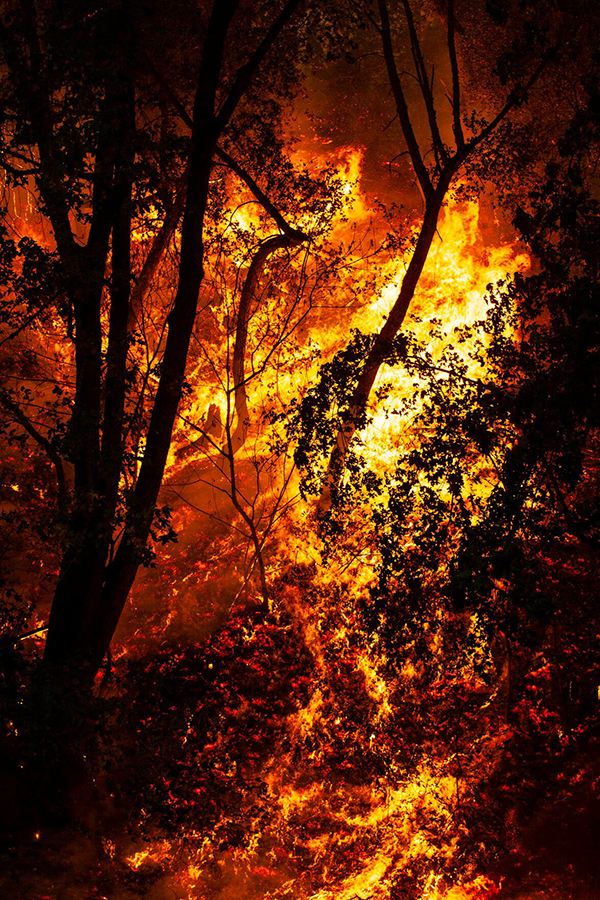 Fire raging in Carmel Valley © 2020 Parker Seibold, <br> staff photographer for The Monterey County Weekly