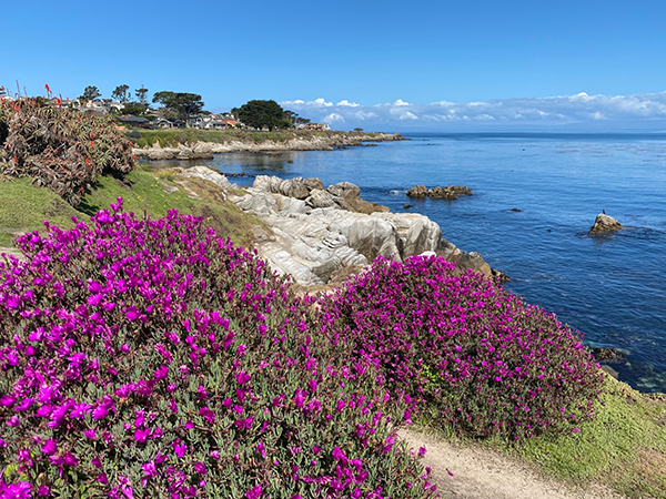 Scenic shoreline trail in Pacific Grove  © 2020 Ginger Chih