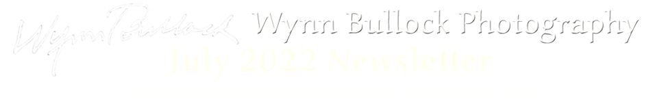 The header for this newsletter: Wynn Bullock Photography Newsletter, December 2021.