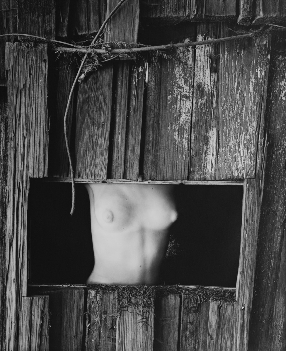 Wynn Bullock: Torso in Window, 1954