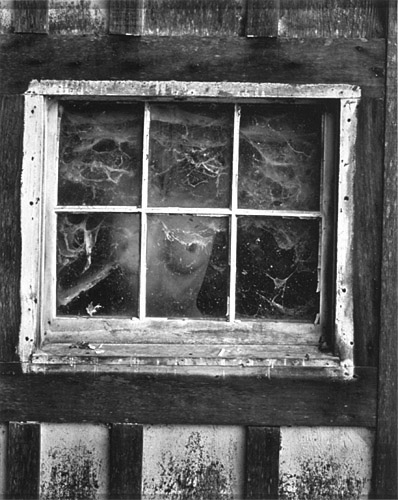 Wynn Bullock: Woman through Window, 1955