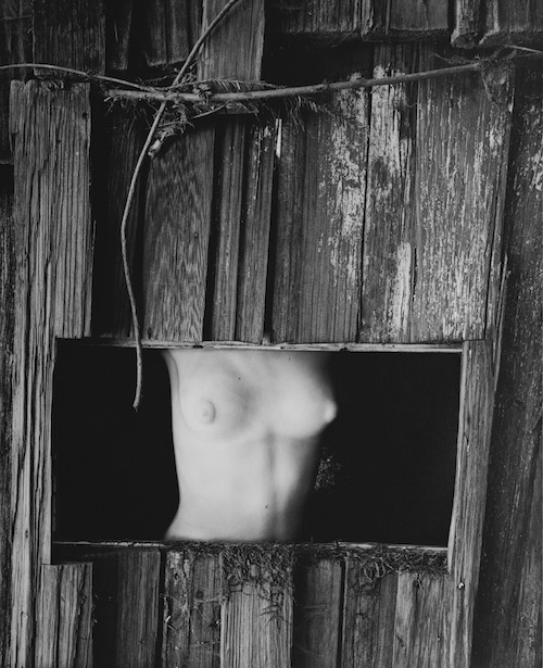 Wynn Bullock: Torso in Window, 1954