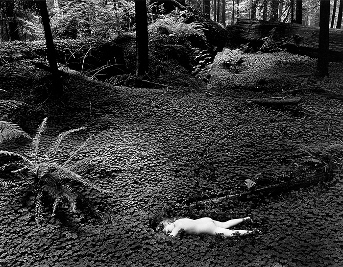 Child in Forest 1951