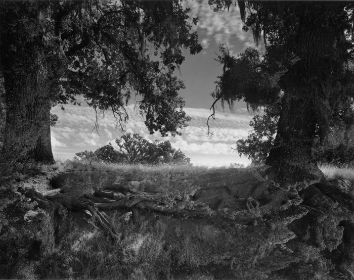Twin Oaks, 1956
