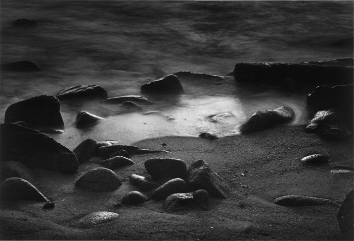 Tide Pools Point Lobos