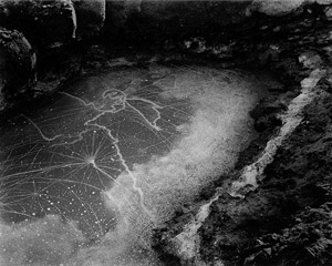 Wynn Bullock - Point Lobos Tide Pool, 1957 - Featured Image of the Month - January 2013