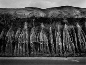 Wynn Bullock - Erosion, 1959 - Featured Image of the Month - May 2013