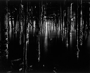 Wynn Bullock - Under Monterey Wharf, 1969 - Featured Image of the Month - July 2013