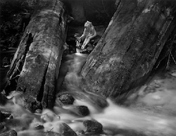 Lynne, Logs, and Doll, 1958